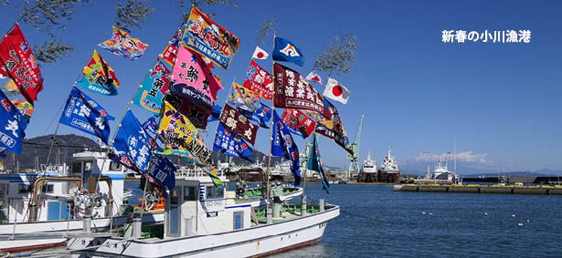新春の小川港