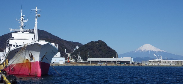 冬の焼津港と富士山