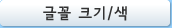 글꼴 크기/색
