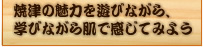 焼津の魅力を遊びながら、学びながら肌で感じてみよう