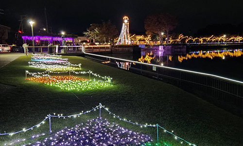 藤枝市で開催される蓮華寺池公園花回廊イルミネーションのイメージ写真です。