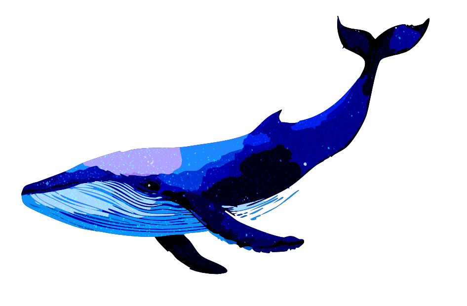 星を探すクジラ