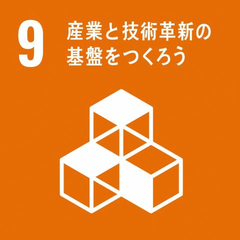 sdgs9