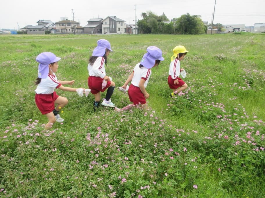 蓮華畑に行ったよ