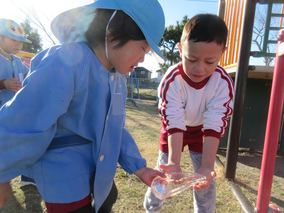 大きな氷ができたよ