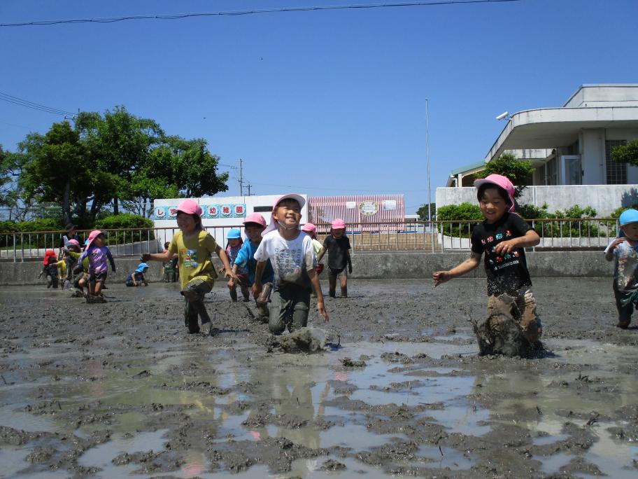 田んぼの中で泥遊びをしました
