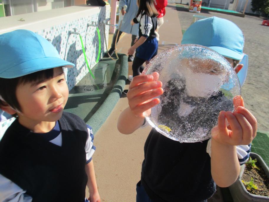 大富幼稚園、バケツにできた丸い氷を持っている子どもたち