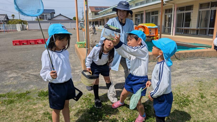 【大富幼稚園】虫とりをしている年長児