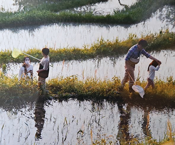 第72回市民文化祭写真部門