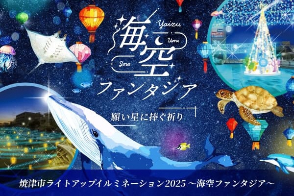 肉筆 落款印有【共シール有・真作保証】F10号 小川立夫 『春の花』額装付 日本 肉筆 落款印有【共シール有・真作保証】F10号 小川立夫 『春の花』