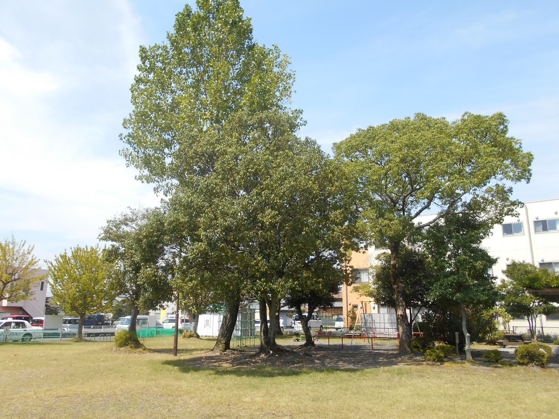 上荒田公園写真