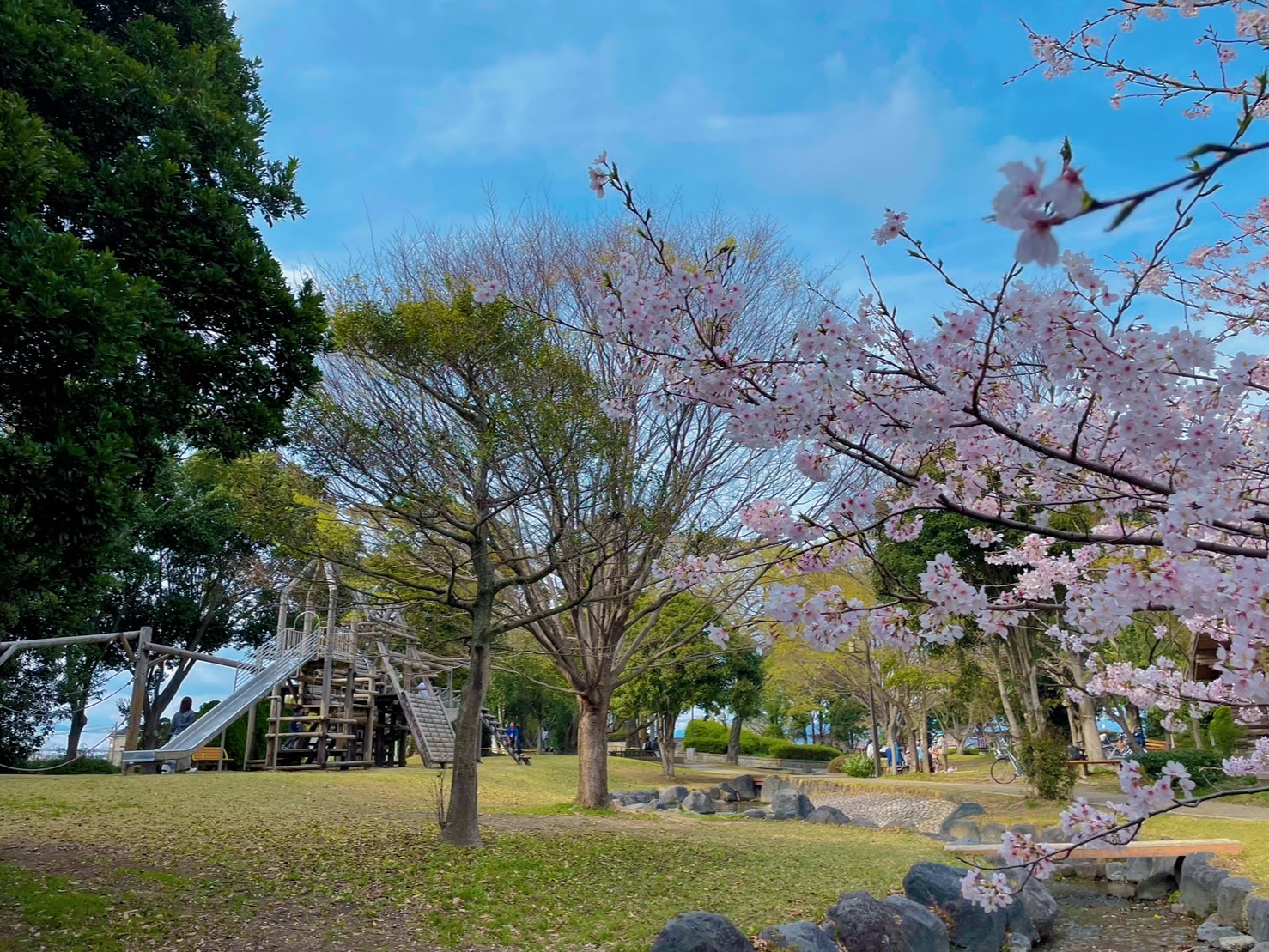 栃山緑地