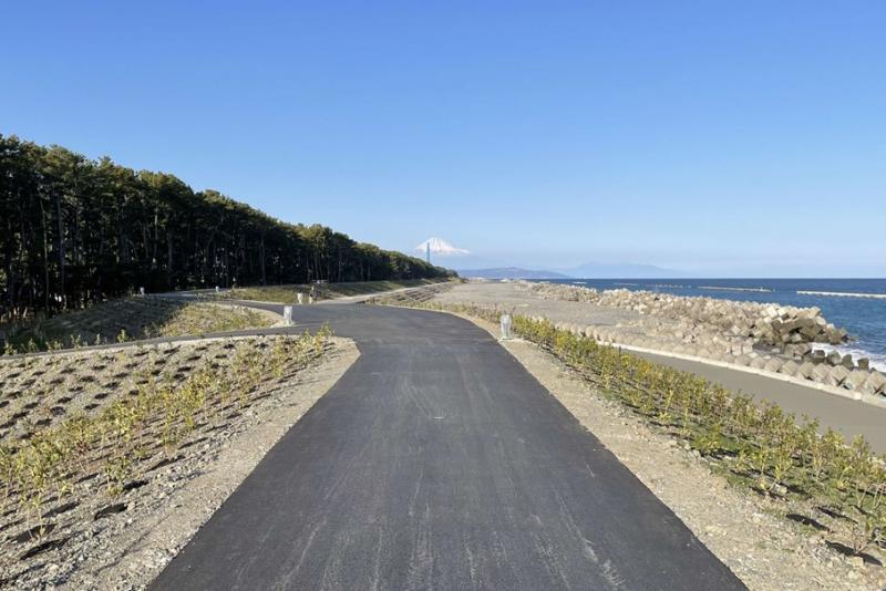 潮風グリーンウォークから富士山を眺めた様子