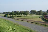 大井川河川敷運動公園の様子