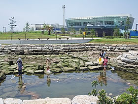 親水公園の様子