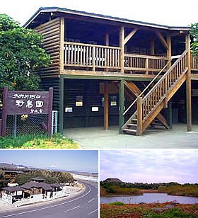 大井川河口野鳥園の様子