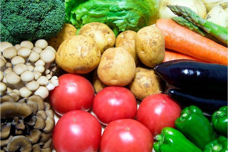 色とりどりの野菜