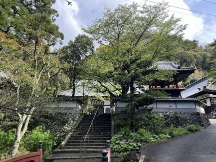 林叟院