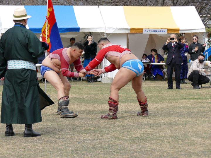 sumo