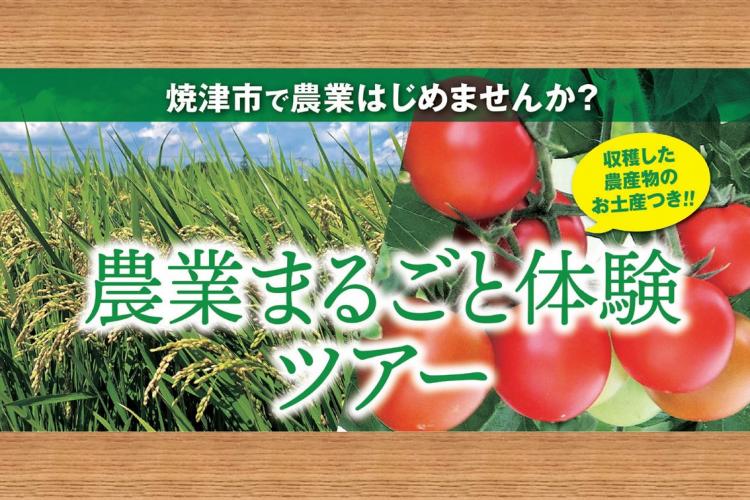 ヘッダー