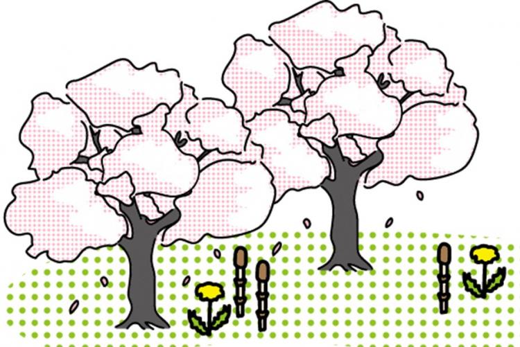 トイロフェス2026