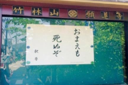 掲示板