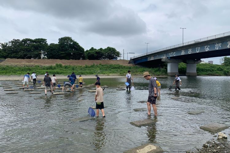 令和6年度水生生物教室（朝比奈川橋）
