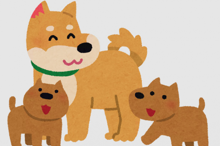 犬親子