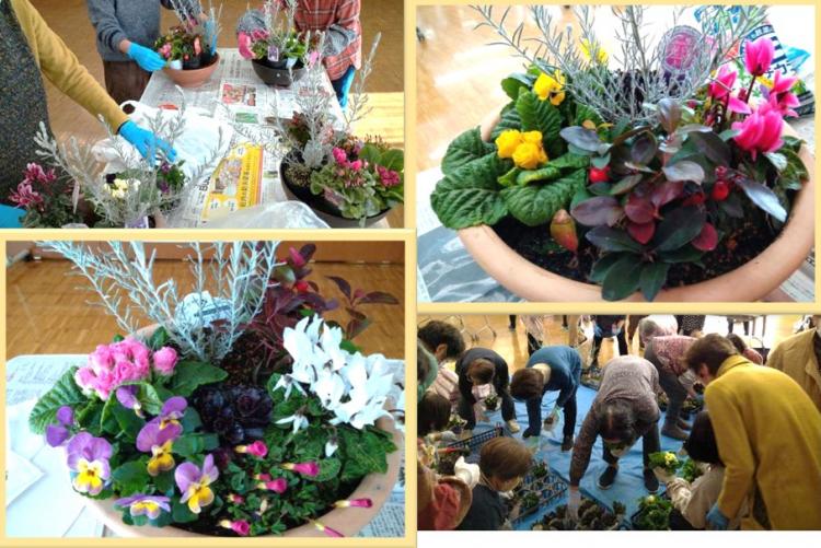 お正月の寄せ植え