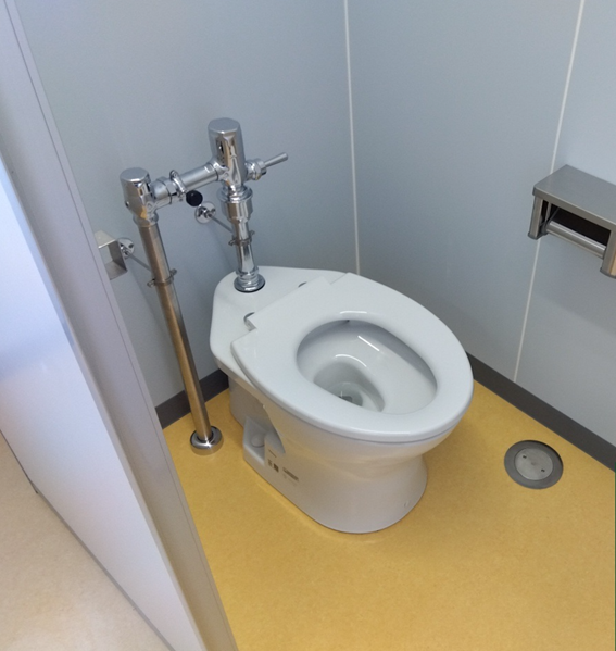 洋式化された学校トイレ