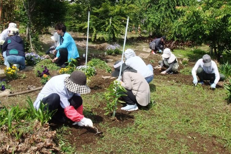 長峰花カフェにおける就労的活動の様子