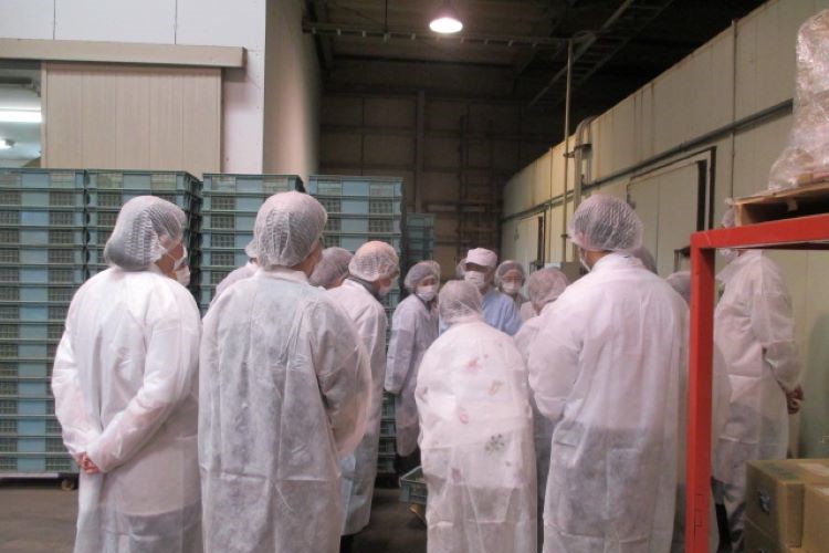 シーラック工場見学写真