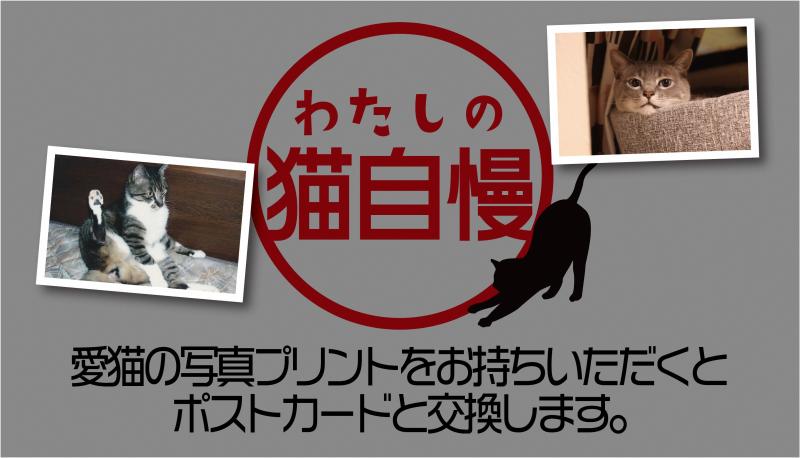 わたしの猫自慢