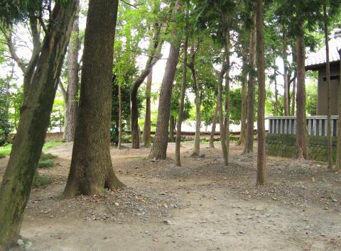 熊野神社の写真