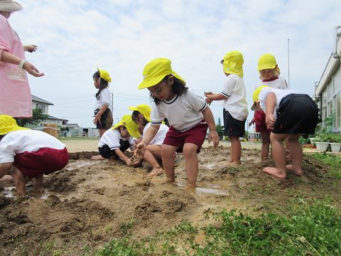 裸足で泥んこ遊びをする園児