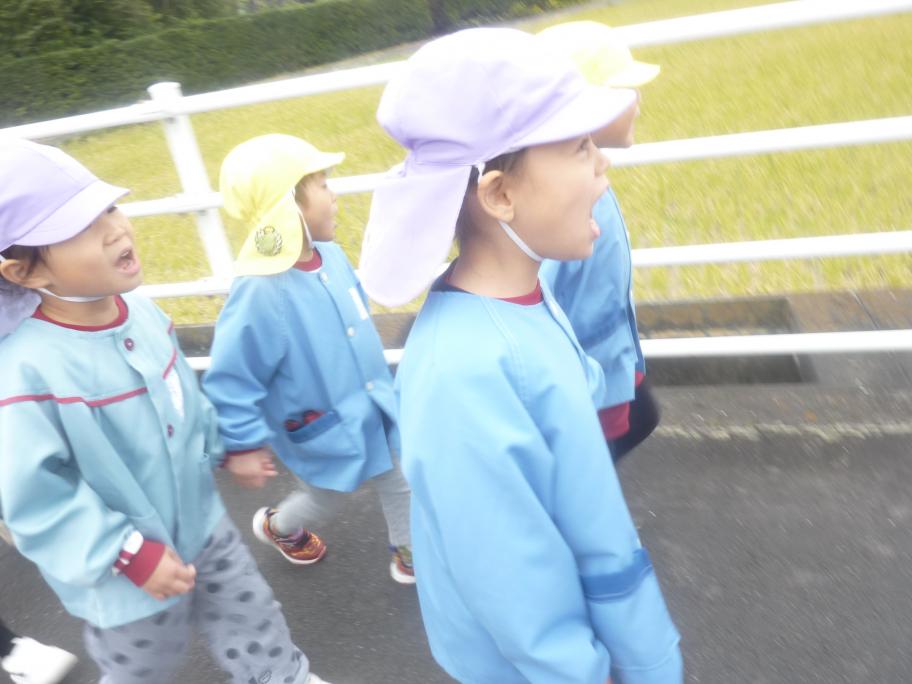 お散歩に行ったよ