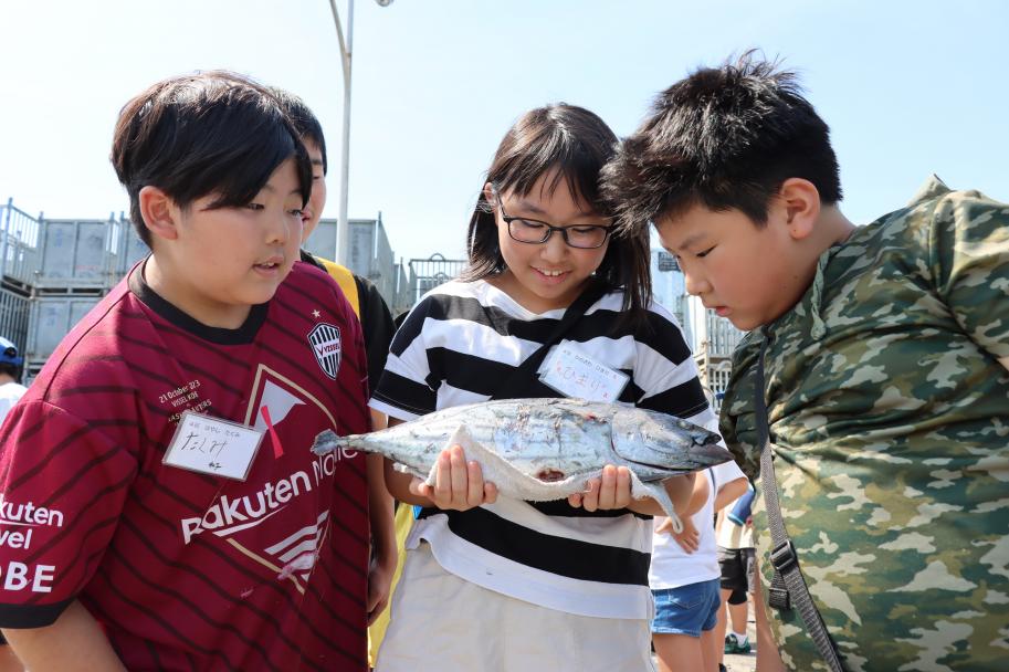 冷凍の魚を眺める子どもたち