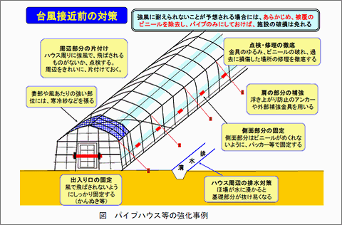 台風対策（ビニールハウス）