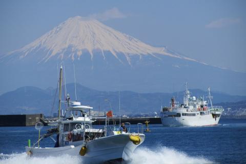 海岸・港の風景の画像