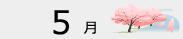 5月