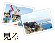 見る